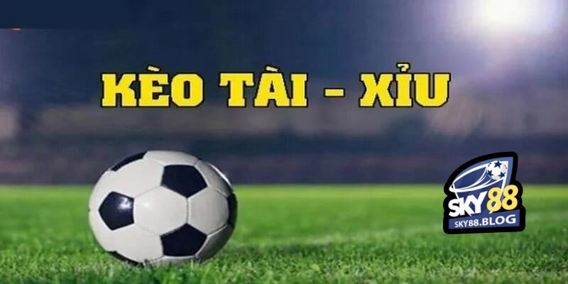 Tài Xỉu 1 Trái Chiến Lược Chinh Phục Kèo Cược Hấp Dẫn 3 Cách đọc và tính tiền kèo tài xỉu 1 trái